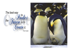 Create Penguin Quote Postcard