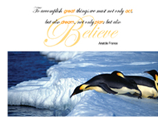 Believe Penguin quote postcard